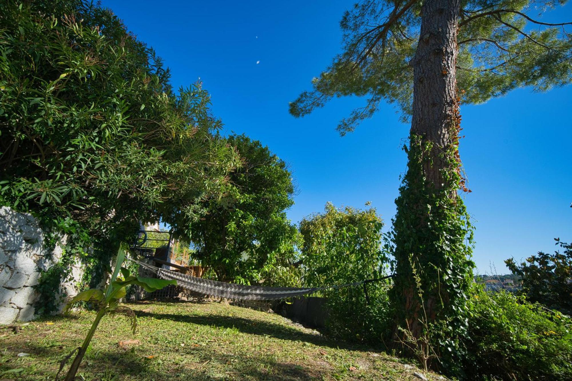 06Q - Biot Beautiful Provencal Villa With Swimming Pool Экстерьер фото